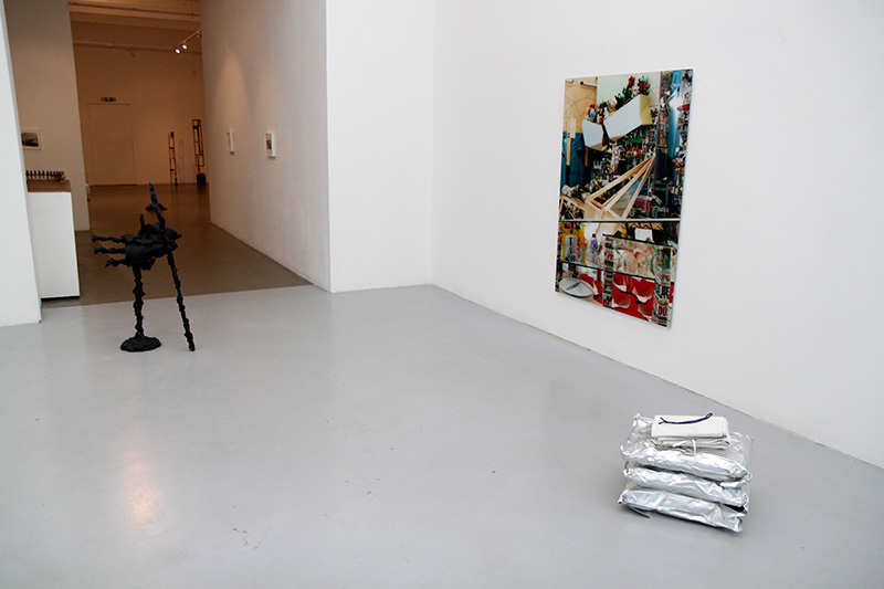 Morphisisation installation view