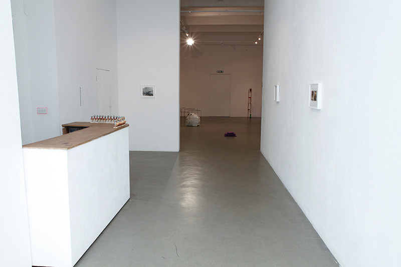 Morphisisation installation view