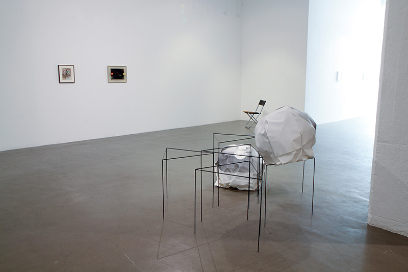 Morphisisation installation view