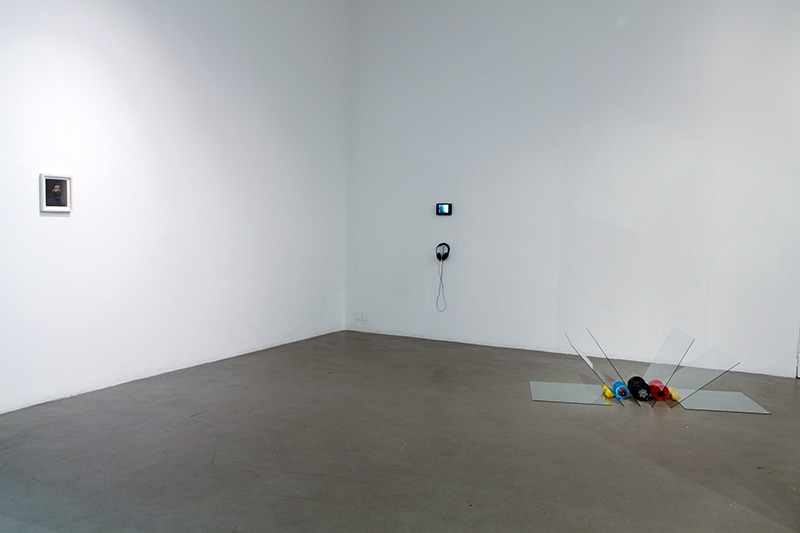 Morphisisation installation view